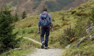 moderate difficulty hiking trails